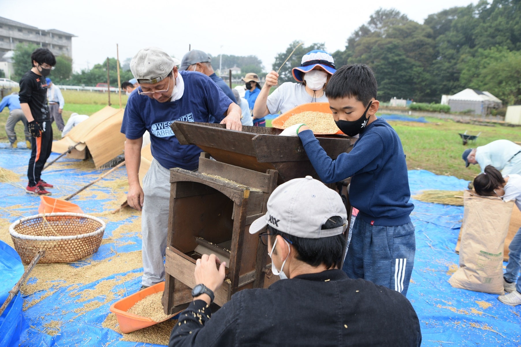 脱穀機をつかい、収穫の喜びをみんなでわかちあう皆さん（谷田の泉）