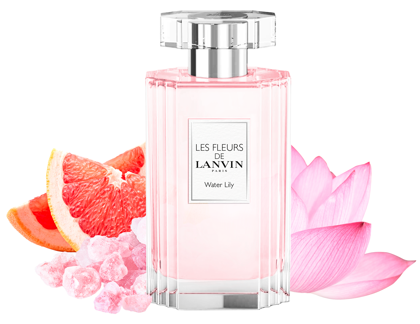 2022年4月13日(水)、＜ランバン＞から春の喜びを感じるような新