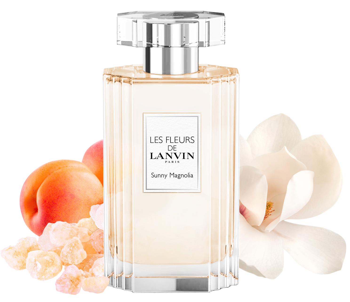 2022年4月13日(水)、＜ランバン＞から春の喜びを感じるような新