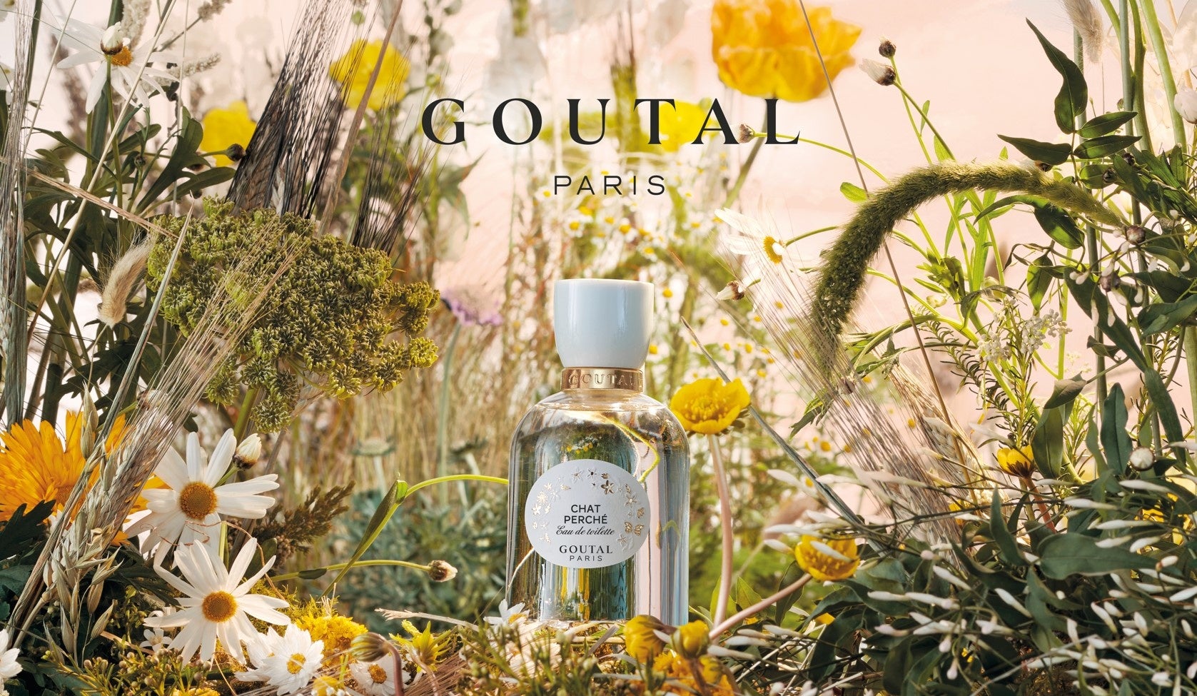 22年7月27日 水 グタール の人気フレグランス シャ ペルシェ が新しいデザインになって登場 ブルーベル ジャパン株式会社 香水 化粧品事業本部のプレスリリース 22年7月27日 水 グタール の人気フレグランス シャ ペルシェ が新しいデザインになって登場 ブルーベル ジャパン株式会社 香水 化粧品事業本部のプレスリリース