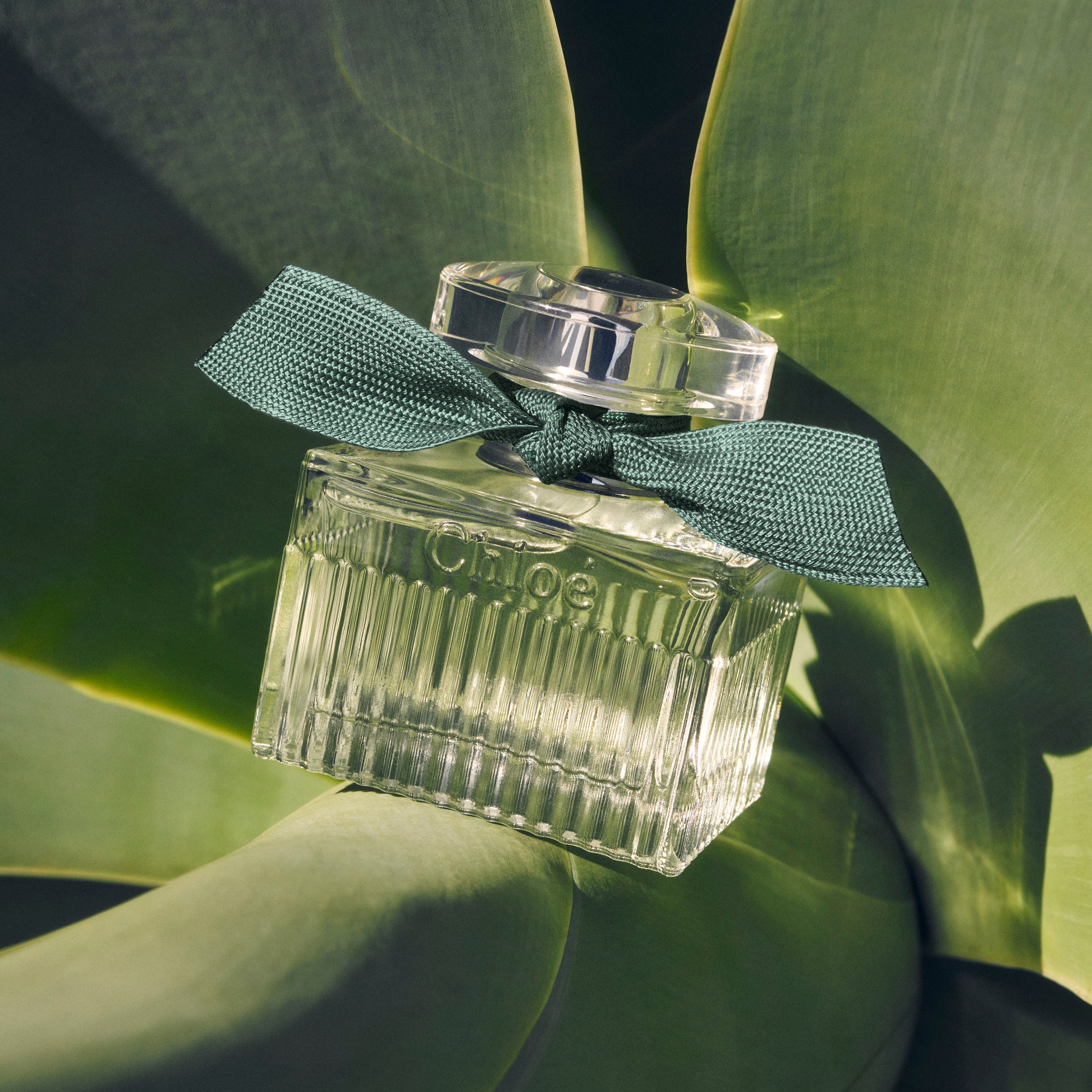 クロエ　ナチュレ　新作オーガニック香水　特大100ml クロエナチュレ新作オーガニック香水特大100ml