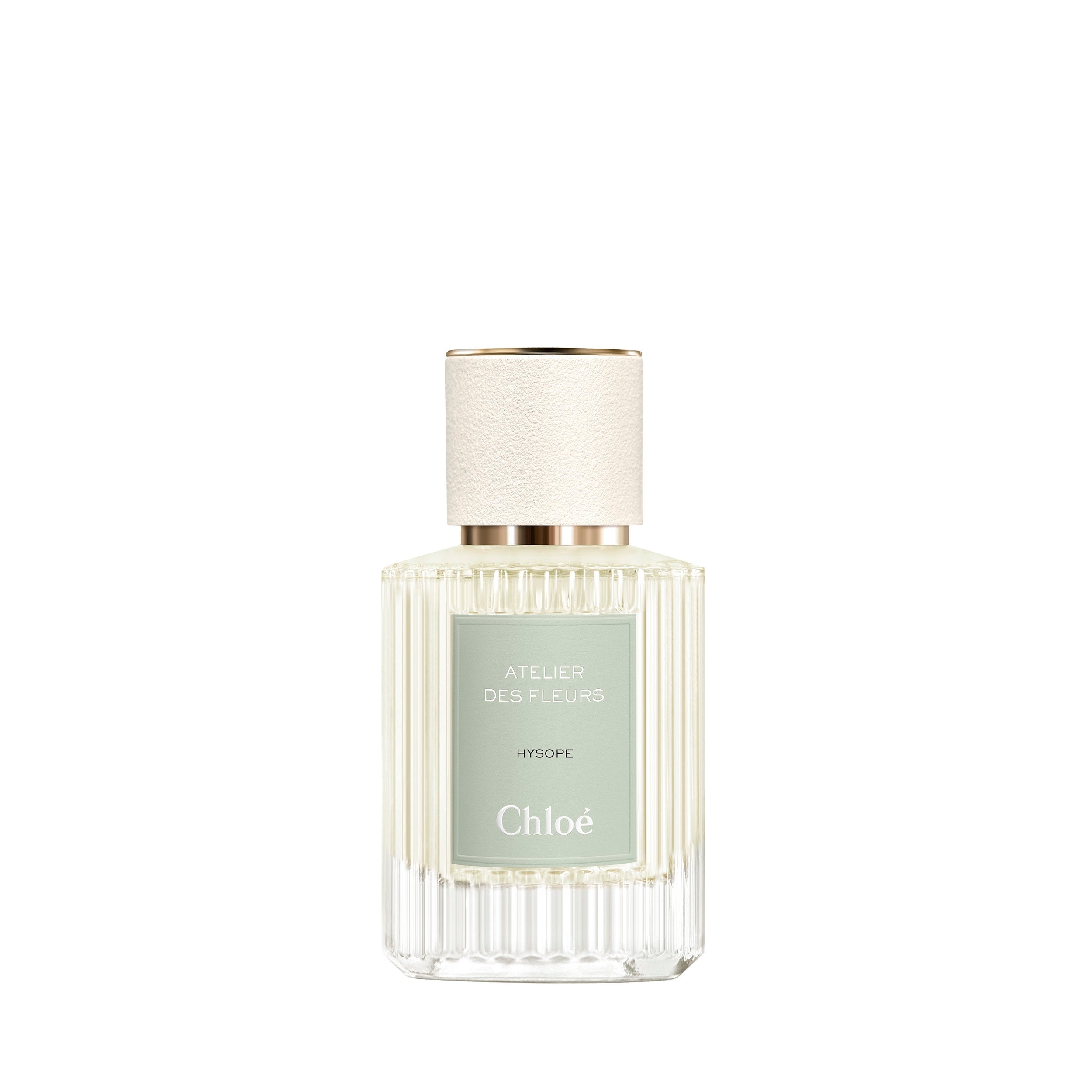 AnjelicaChloé アトリエ　デ　フルール　ダマスクローズ Chloé（Chloé） クロエ アトリエ デ フルール ロサ ダマスケナ