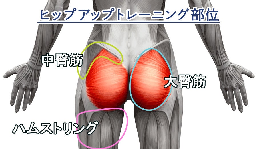 電気の力で筋肉を鍛えるems ヒップバージョンのmakuakeプロジェクトを開始 株式会社medikのプレスリリース 電気の力で筋肉を鍛えるems ヒップバージョンのmakuakeプロジェクトを開始 株式会社medikのプレスリリース