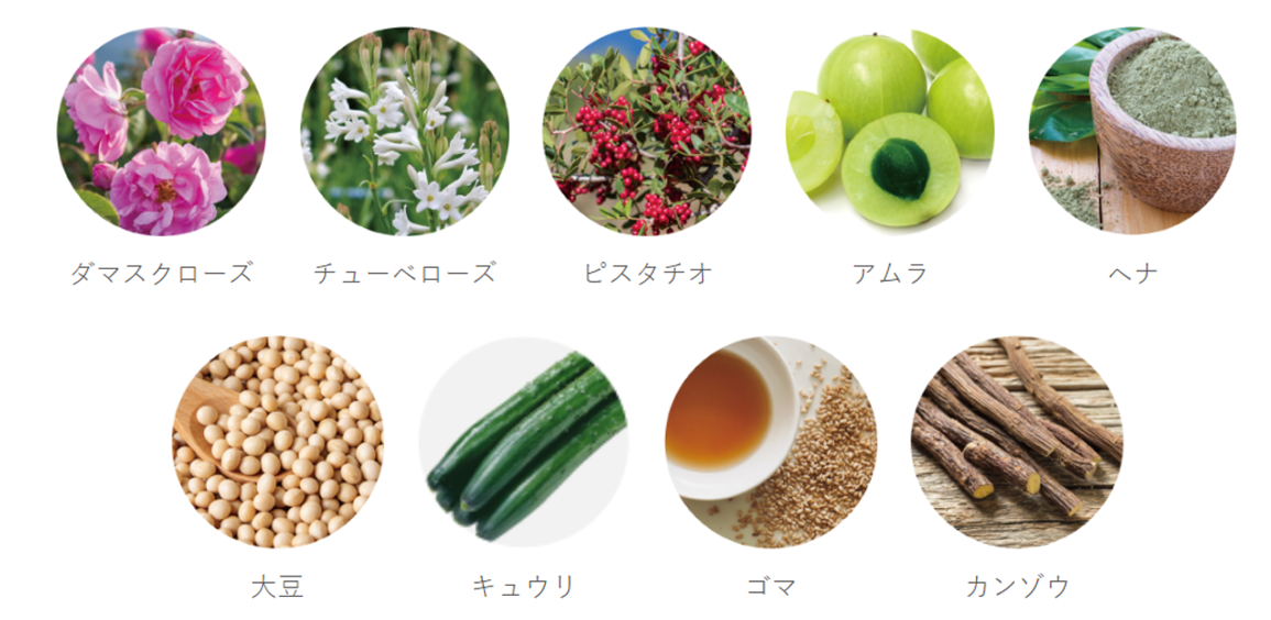 頭皮までが「顔」スキンケア成分で洗うボタニカルシャンプー