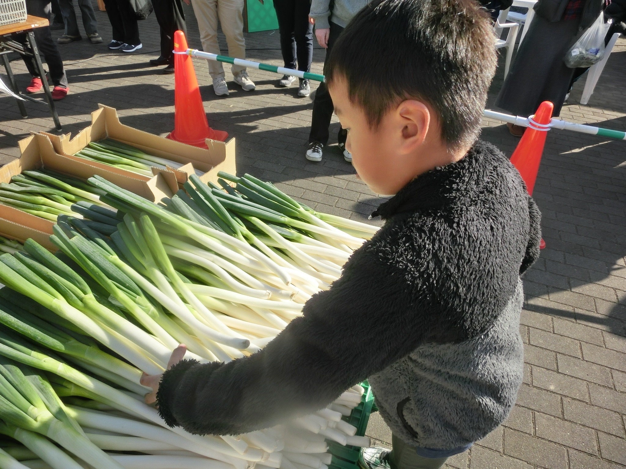 深谷ねぎのつかみどり