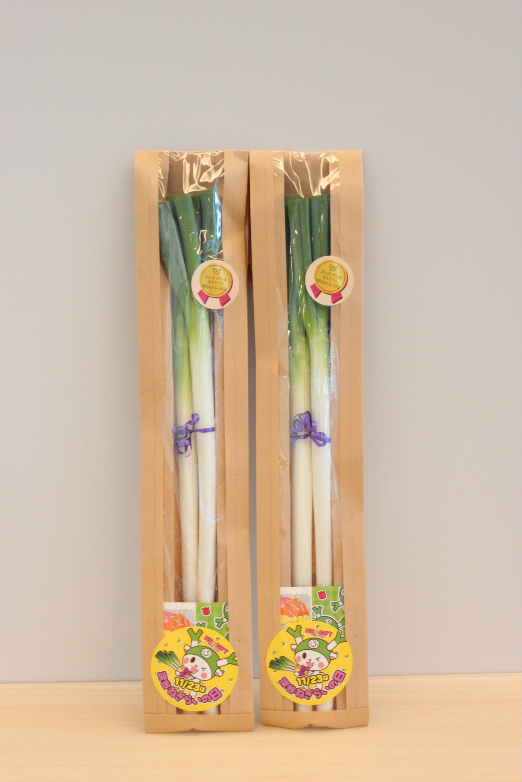 ねぎ束（配布見本）