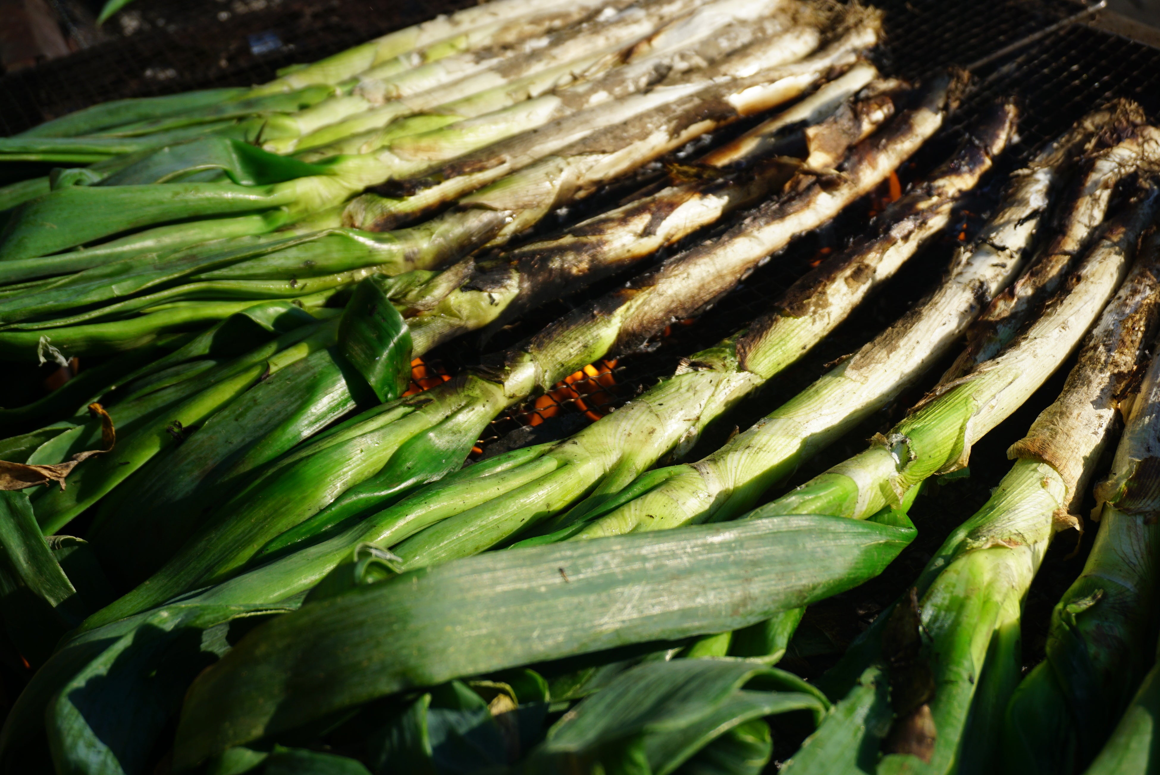 【深谷ねぎカルソッツ】