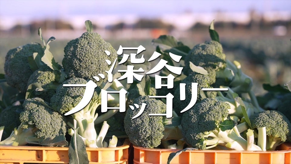 深谷ブロッコリー1