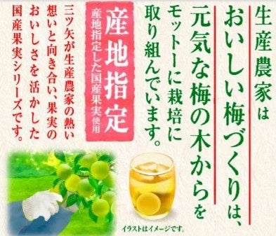 【パッケージ裏面の一部画像】