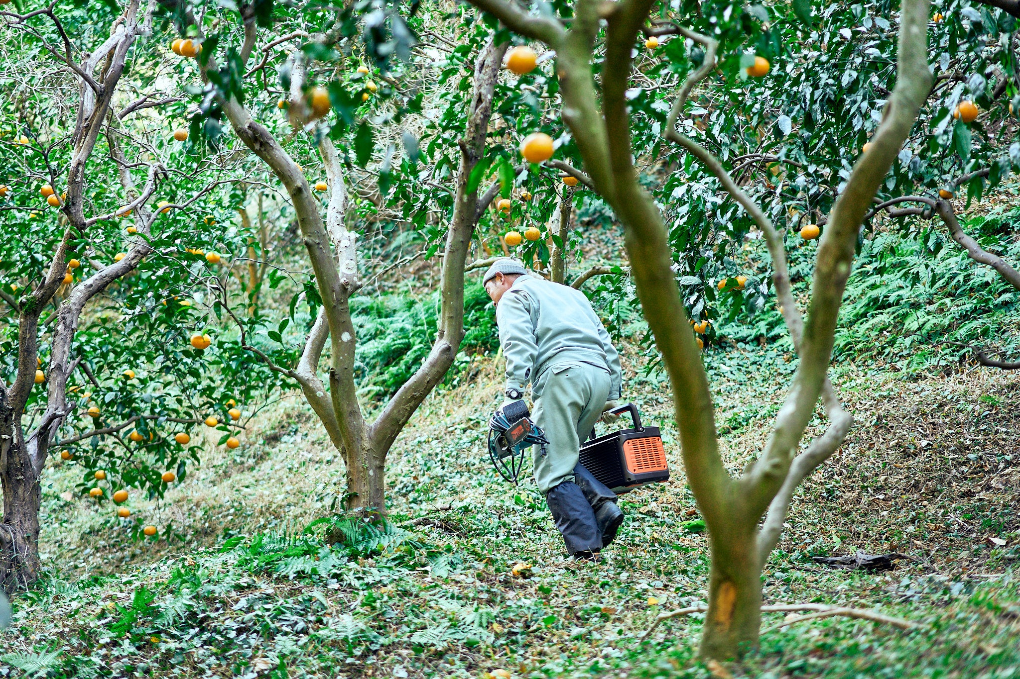 急な斜面でも持ち運び便利なポータブル電源