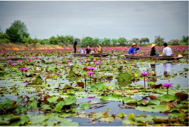 レッドロータス水上マーケット