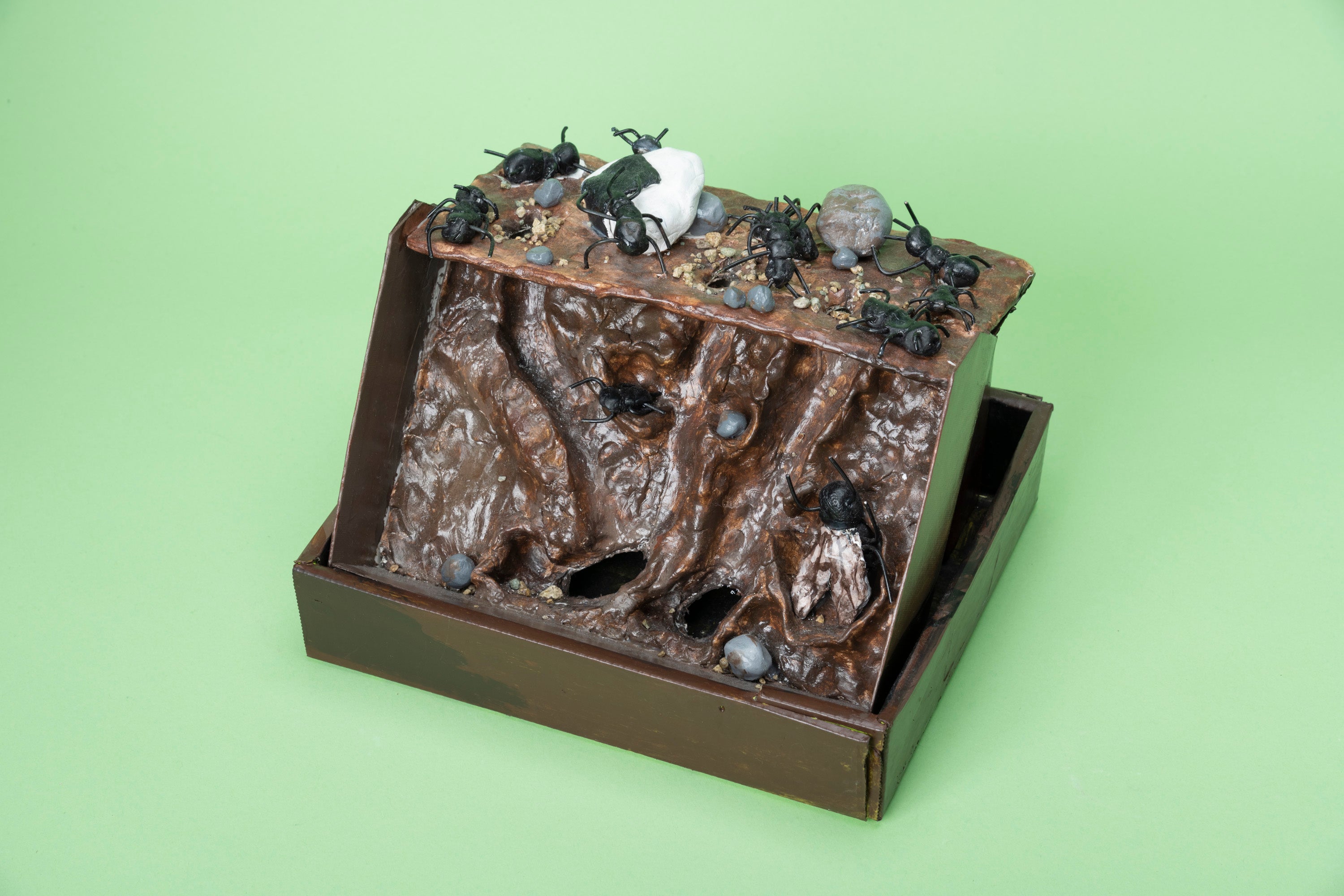 「ありのすみか」