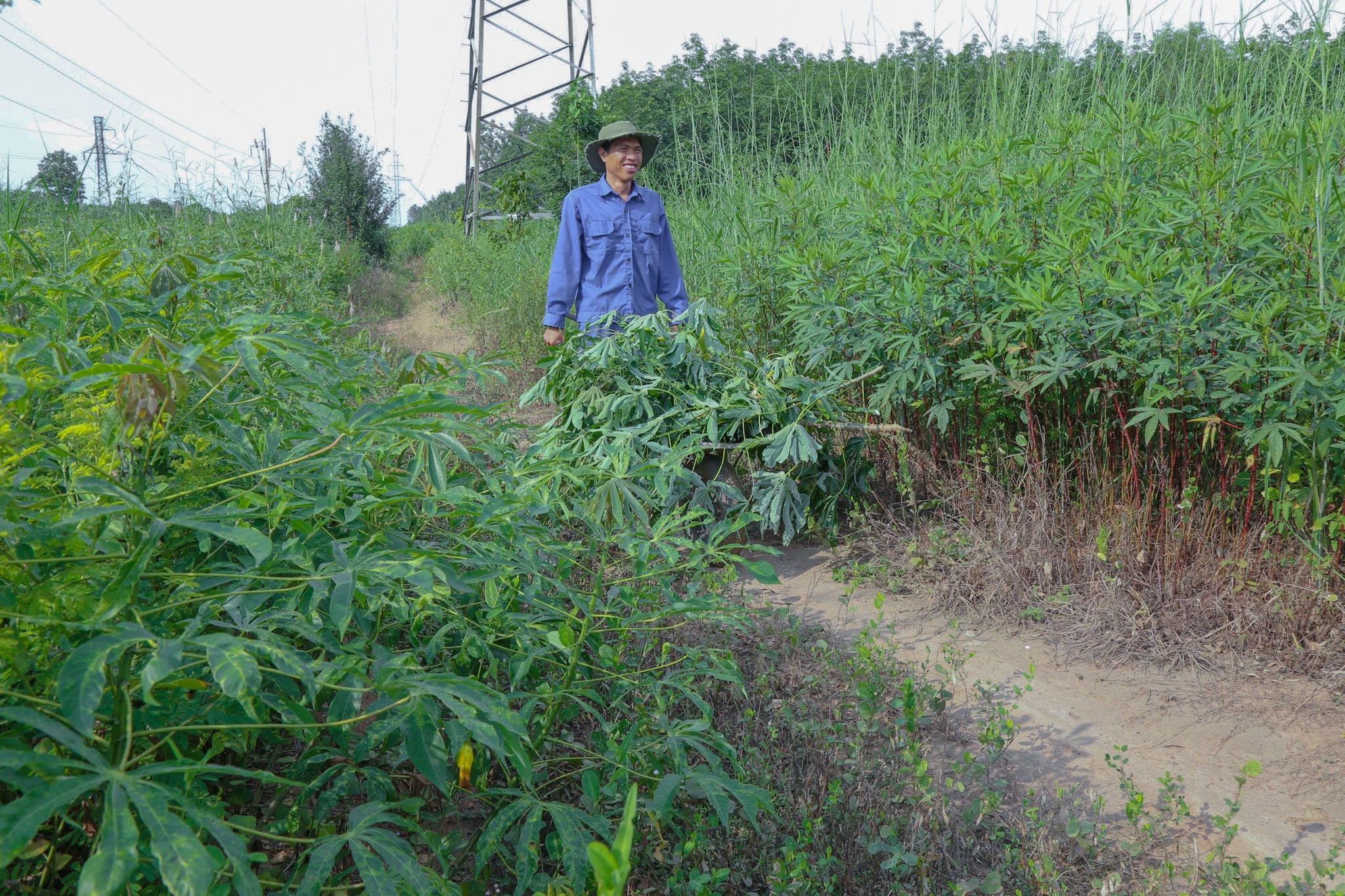 ベトナム契約農家でのコオロギ飼料準備の様子