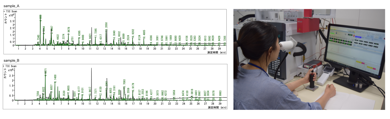 残渣を活用し飼育したコオロギの評価分析の様子