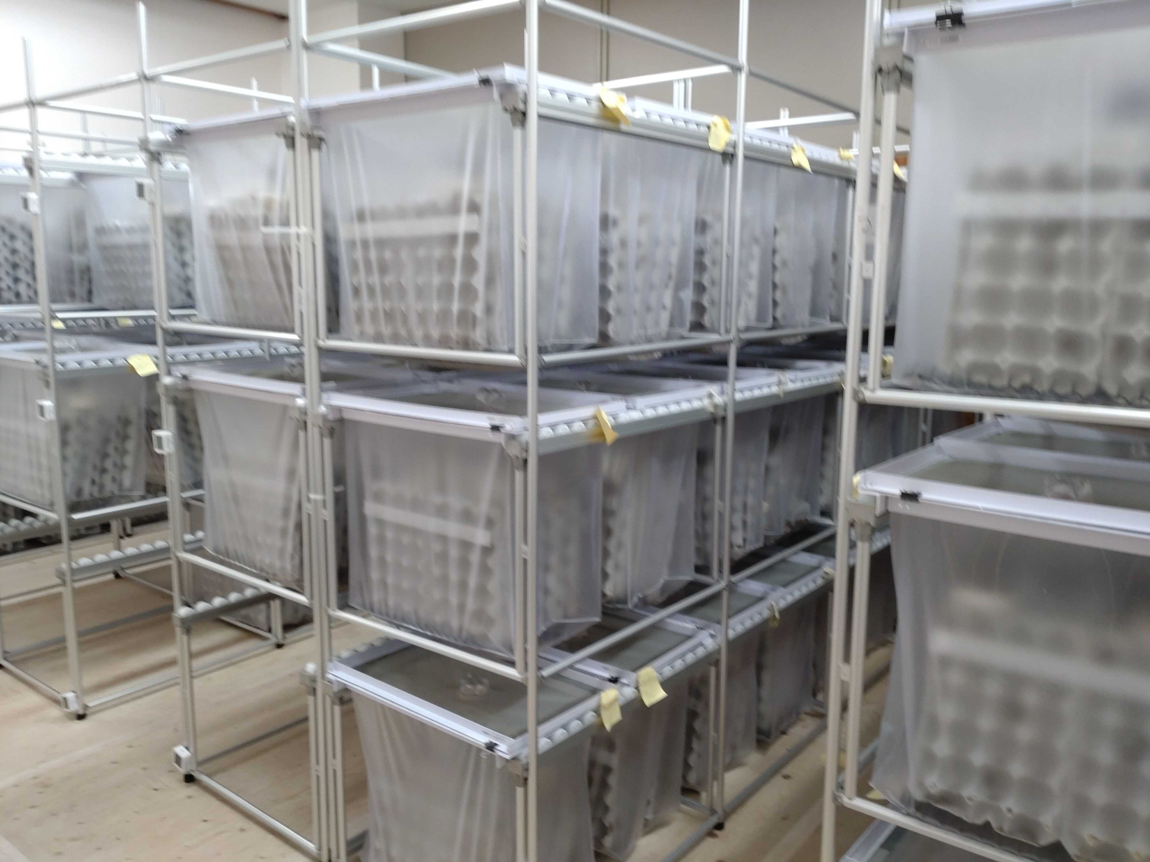 養殖施設の様子