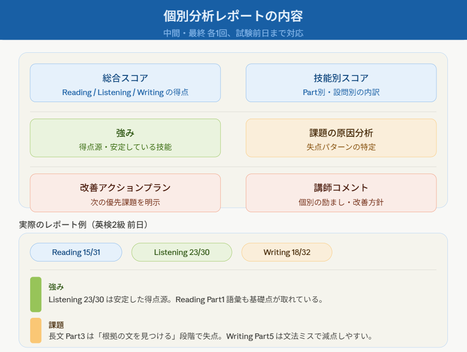 個別分析レポートのサンプル