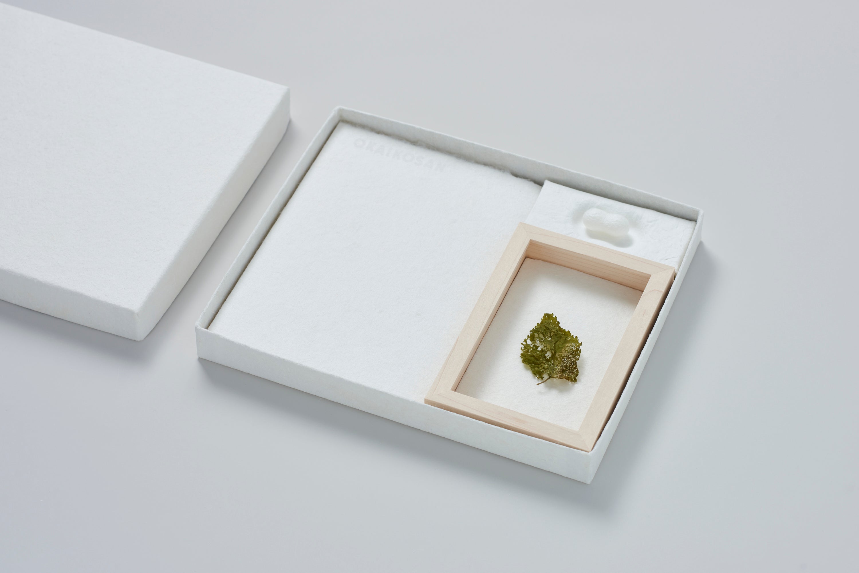 お蚕さんを育て、お蚕さんや桑について学び、絹糸を使ったものづくり Photo&nbsp; Haruhi Okuyama