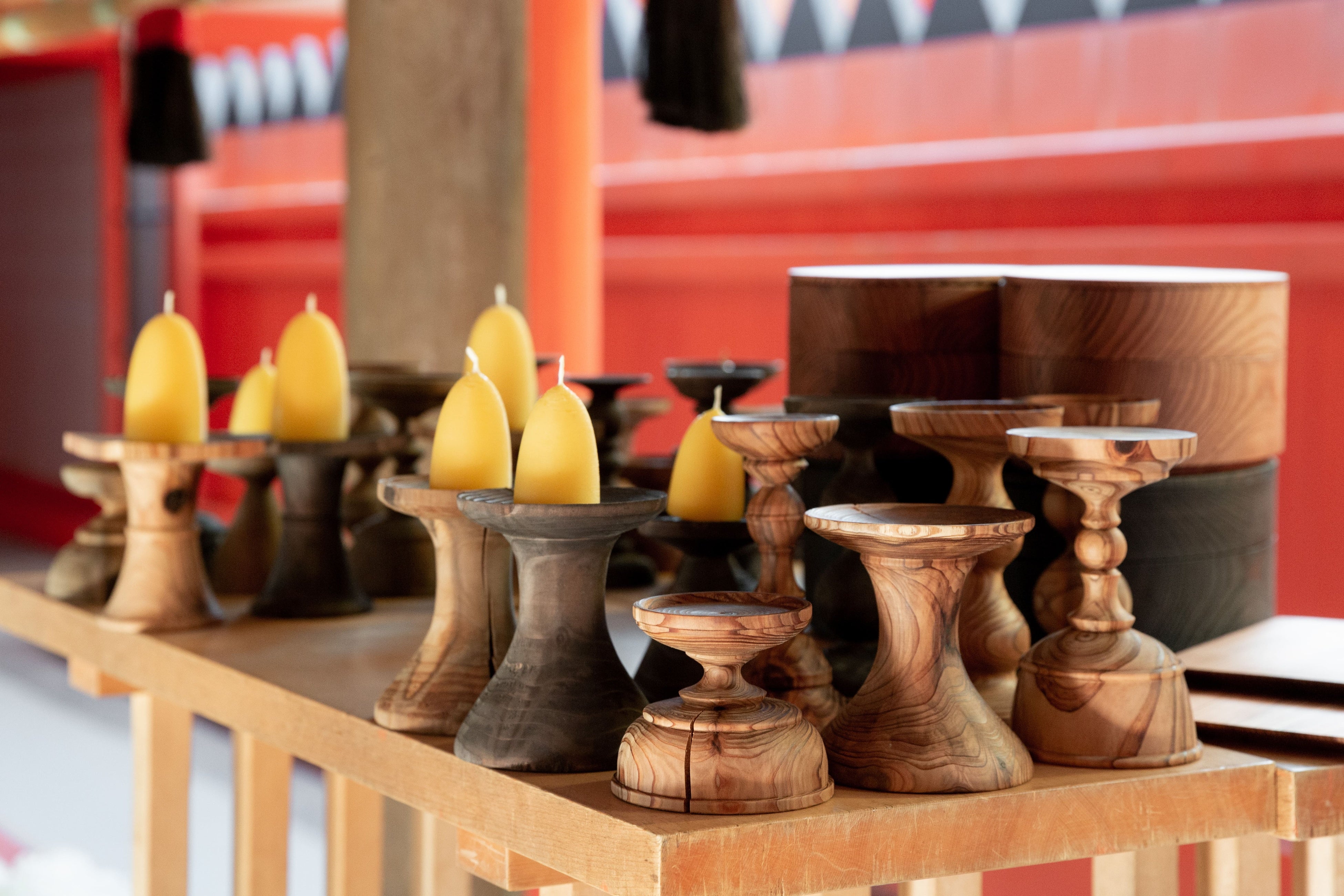 枯損木や風倒木として木材になった木へ新たな生命を吹き込む Photo&nbsp; Natsumi Kinugasa