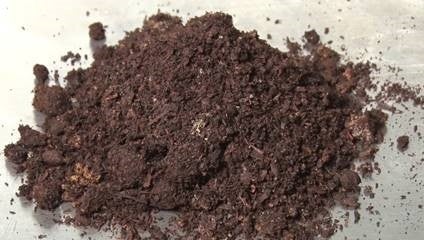 微生物群菌イメージ