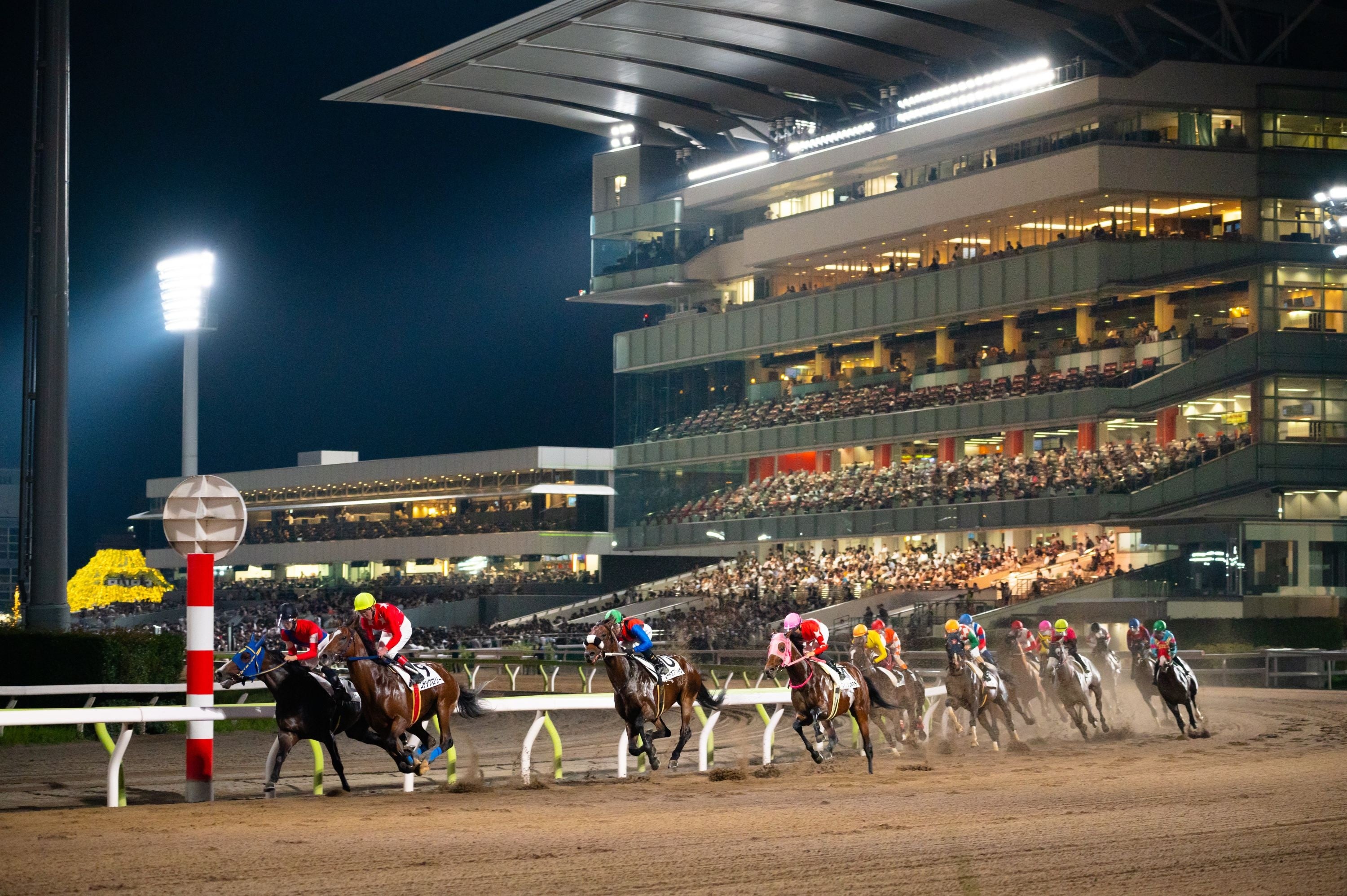 トゥインクルレースの様子