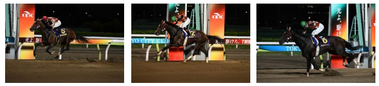 昨年南関東3歳クラシックを制したミックファイア号 左から羽田盃、東京ダービー、ジャパンダートダービー