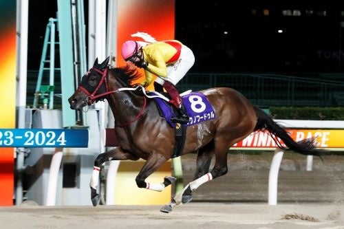 昨年のジェムストーン賞 （準重賞）の様子