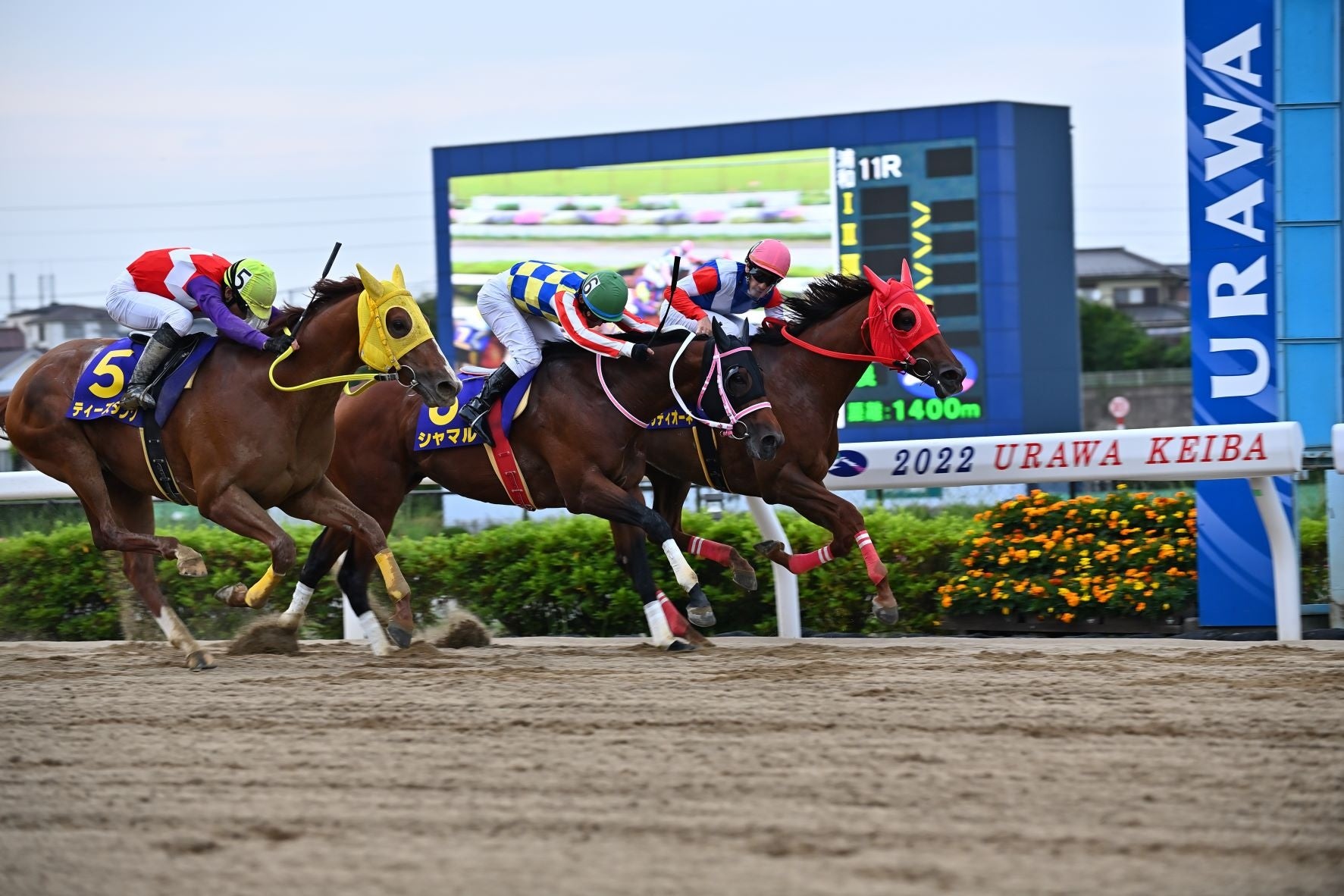 2022年  さきたま杯優勝時