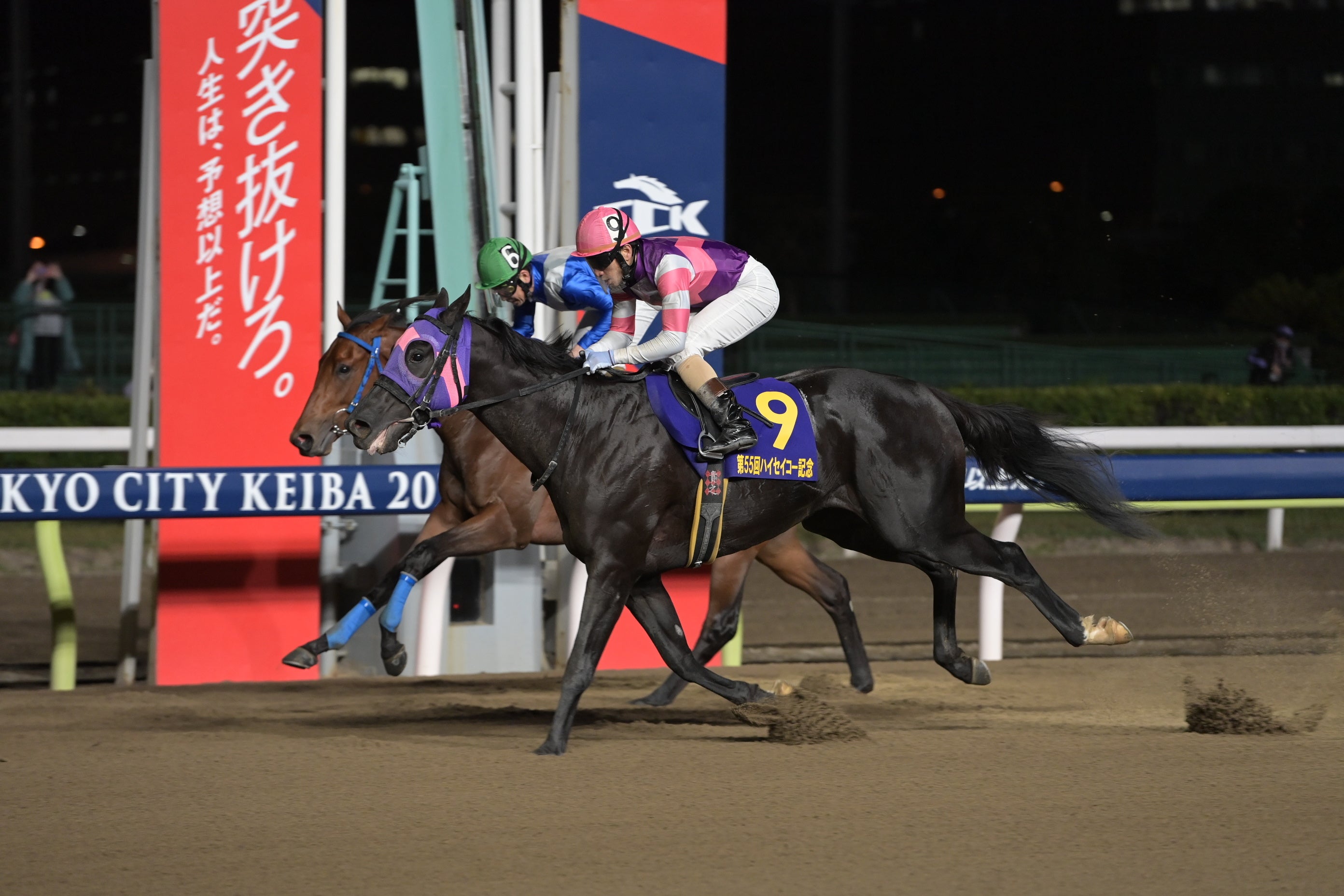 マンダリンヒーロー号 （ハイセイコー記念）