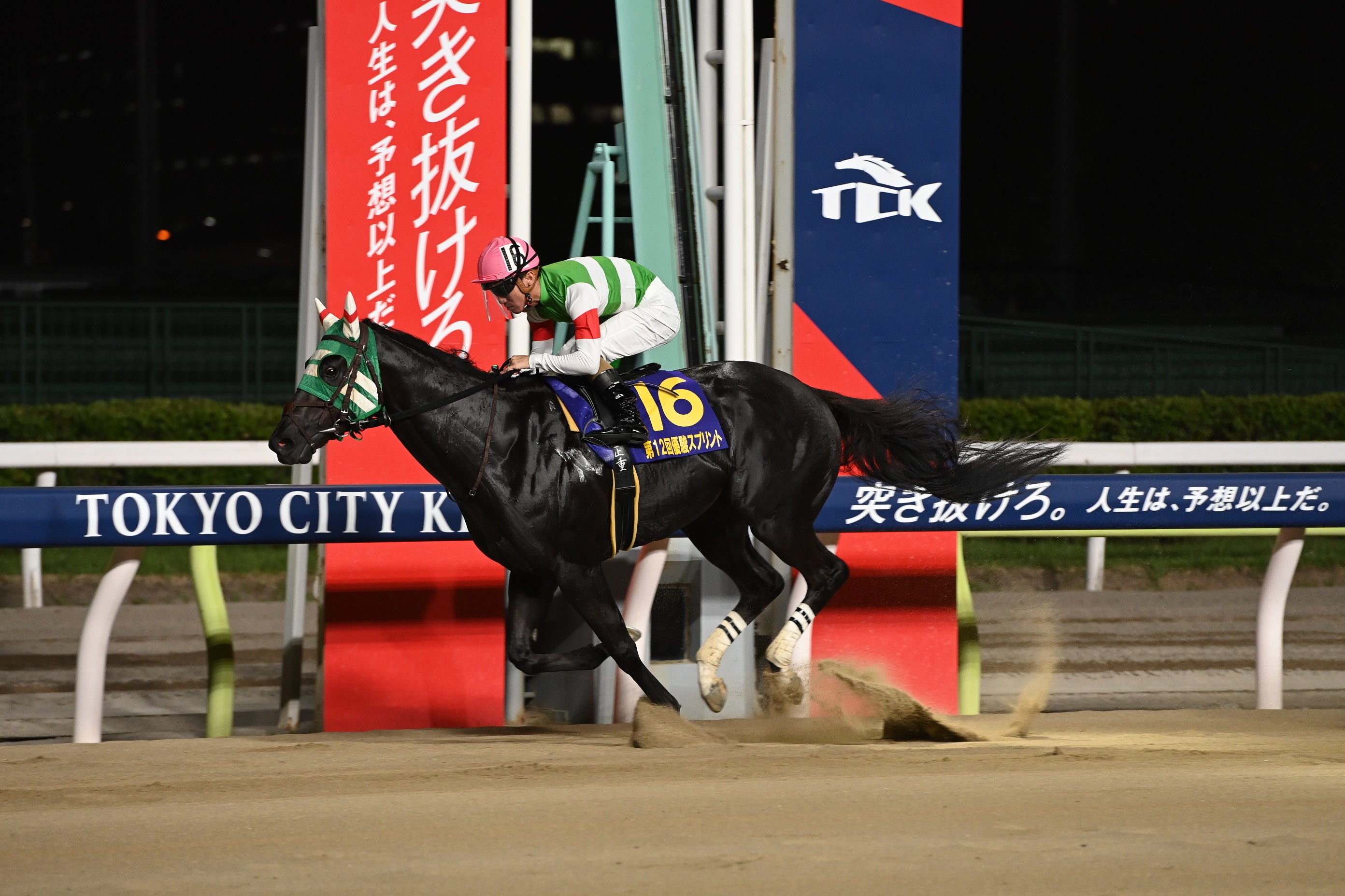 プライルード号 （優駿スプリント）