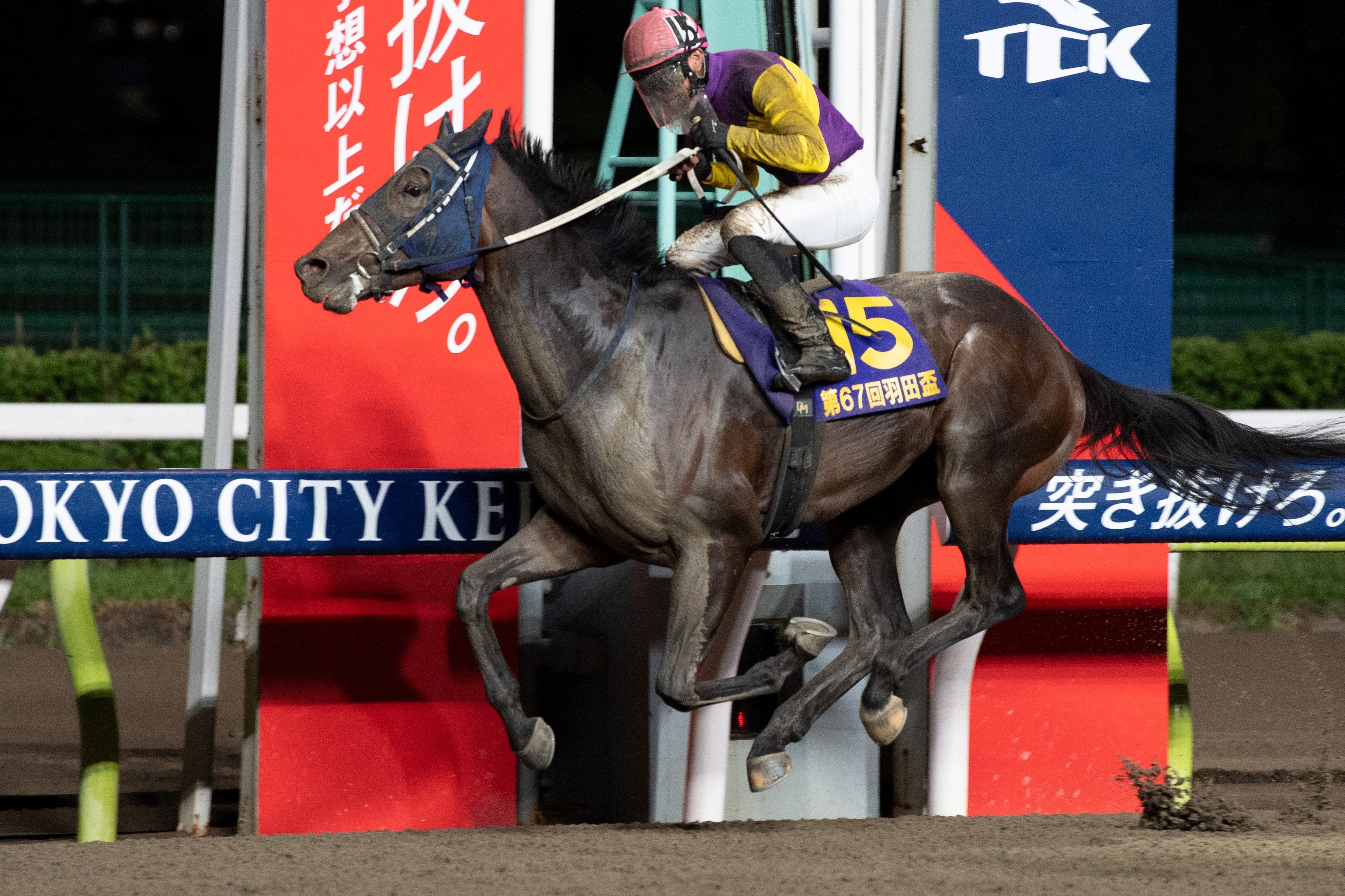 ミヤギザオウ号 （羽田盃）