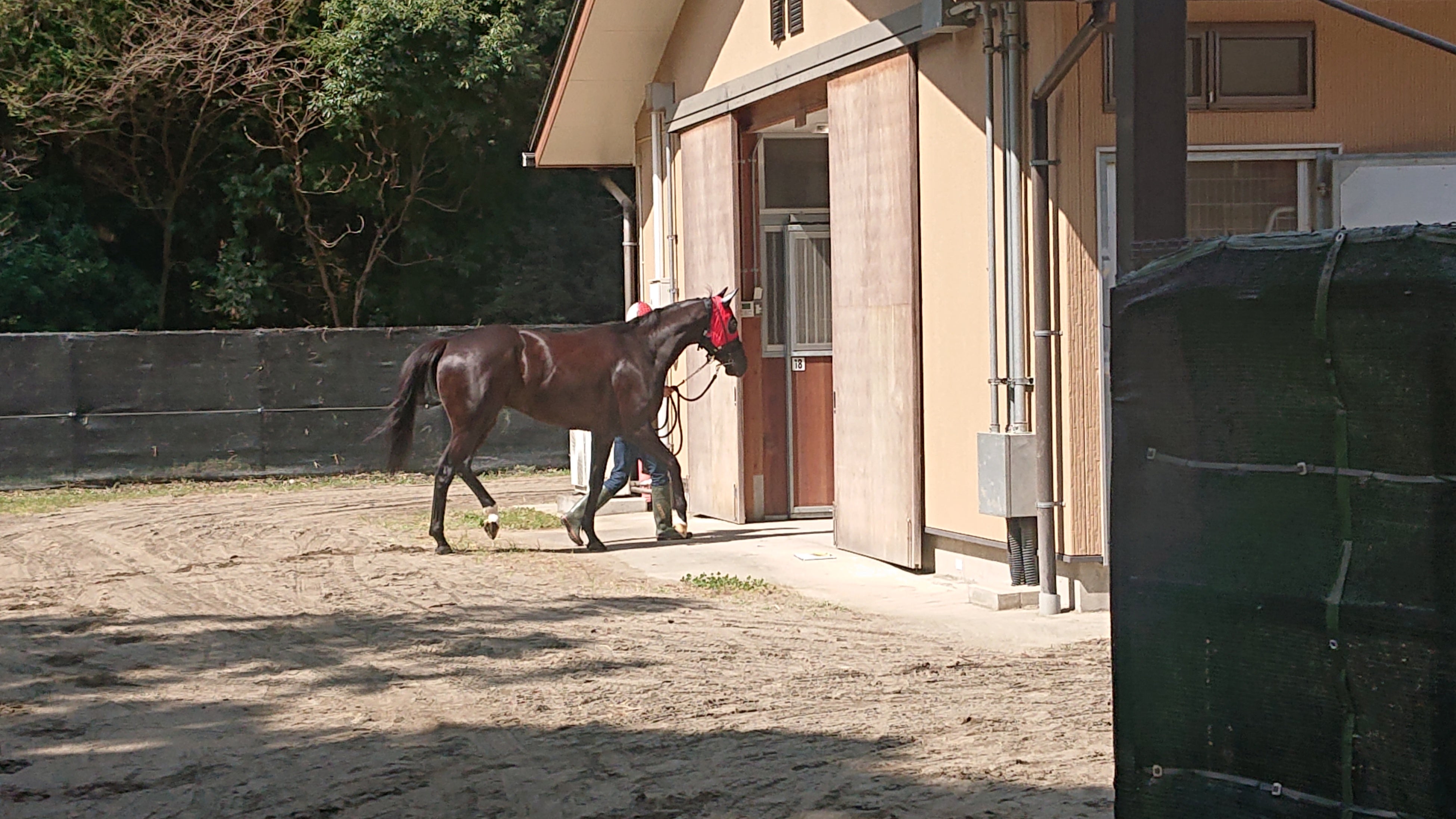 小林牧場出張厩舎到着時の様子