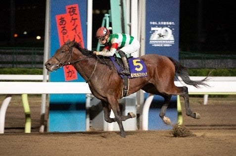 「JBC」や3歳ダート三冠競走へ向け、東京シティ競馬が2023年度事業計画を発表!ダートグレード競走も新設。 「JBC」や3歳ダート三冠競走へ向け、東京シティ競馬が2023年度事業計画を発表!ダートグレード競走も新設。