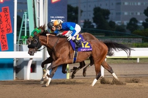 第20回JBCレディスクラシック(ファッショニスタ号)