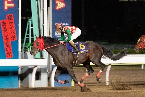 第20回JBCクラシック（サブノジュニア号