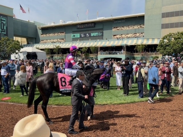 マンダリンヒーロー号パドックでの様子