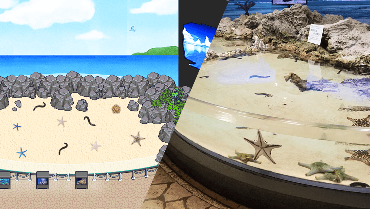 サンゴ礁への旅エリアにある”イノーの生き物たち”コーナーを再現した空間。リアルでは浅瀬や砂地にすむ生き物を近くで観察できるの同様、メタバース空間ではヒトデへの餌やり動画などが楽しめる。