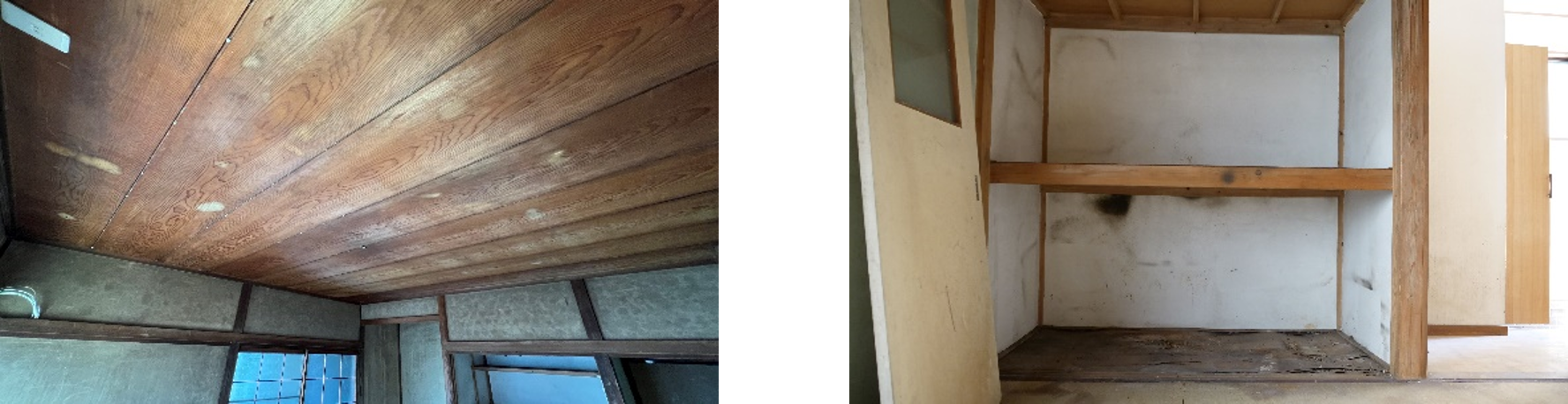 獣害による被害があった箇所 Before