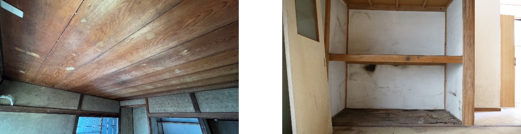 獣害による被害があった箇所 Before