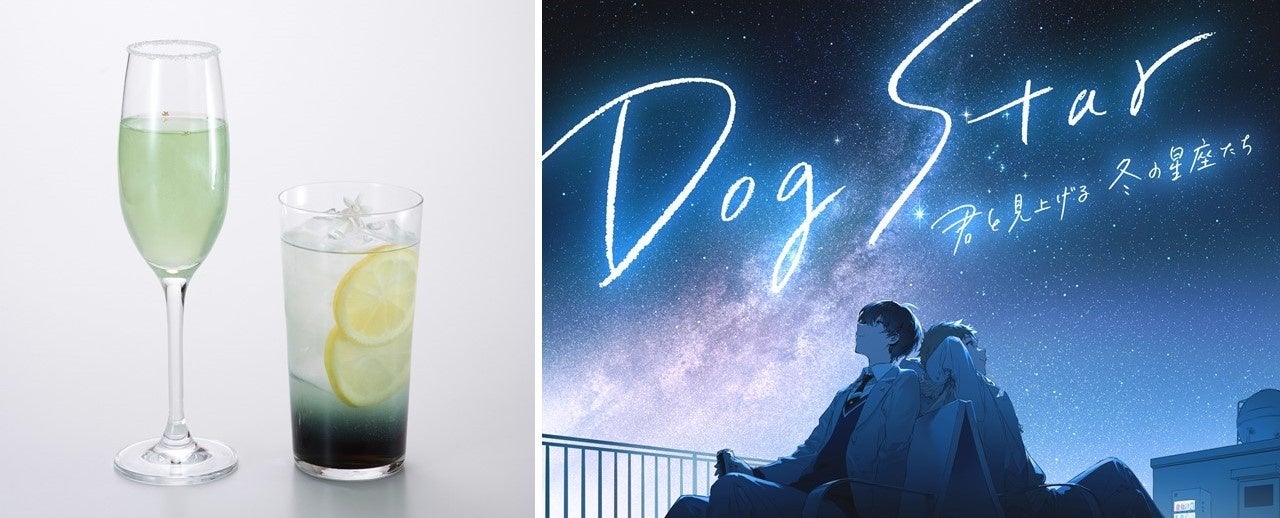 左）Dog Star -シリウス-　右）Dog Star -アダラ-　／　上映作品「Dog Star 君と見上げる冬の星座たち」