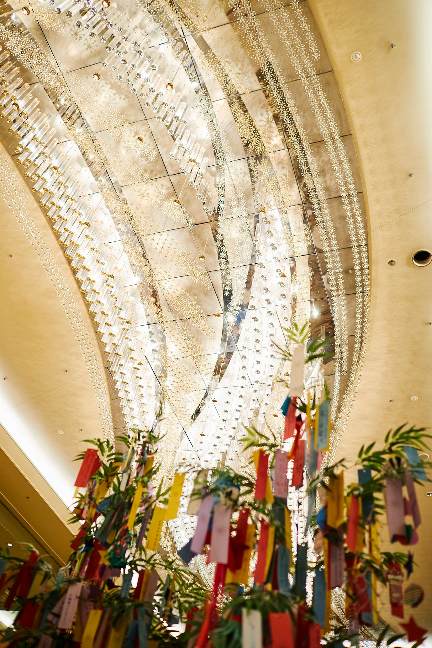 ※写真は昨年のイメージです。