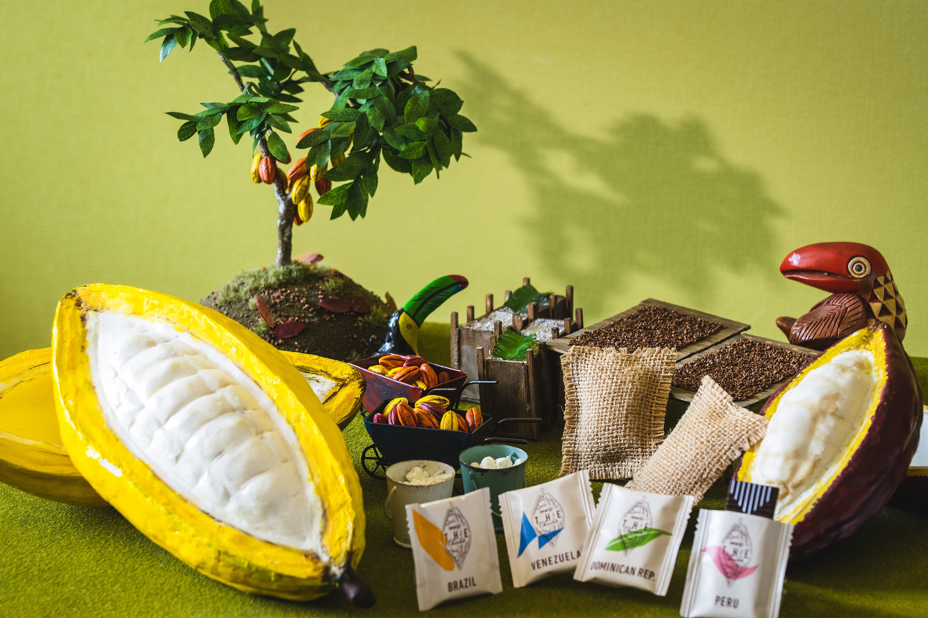 キャンバスラウンジに設置するカカオのミニチュア