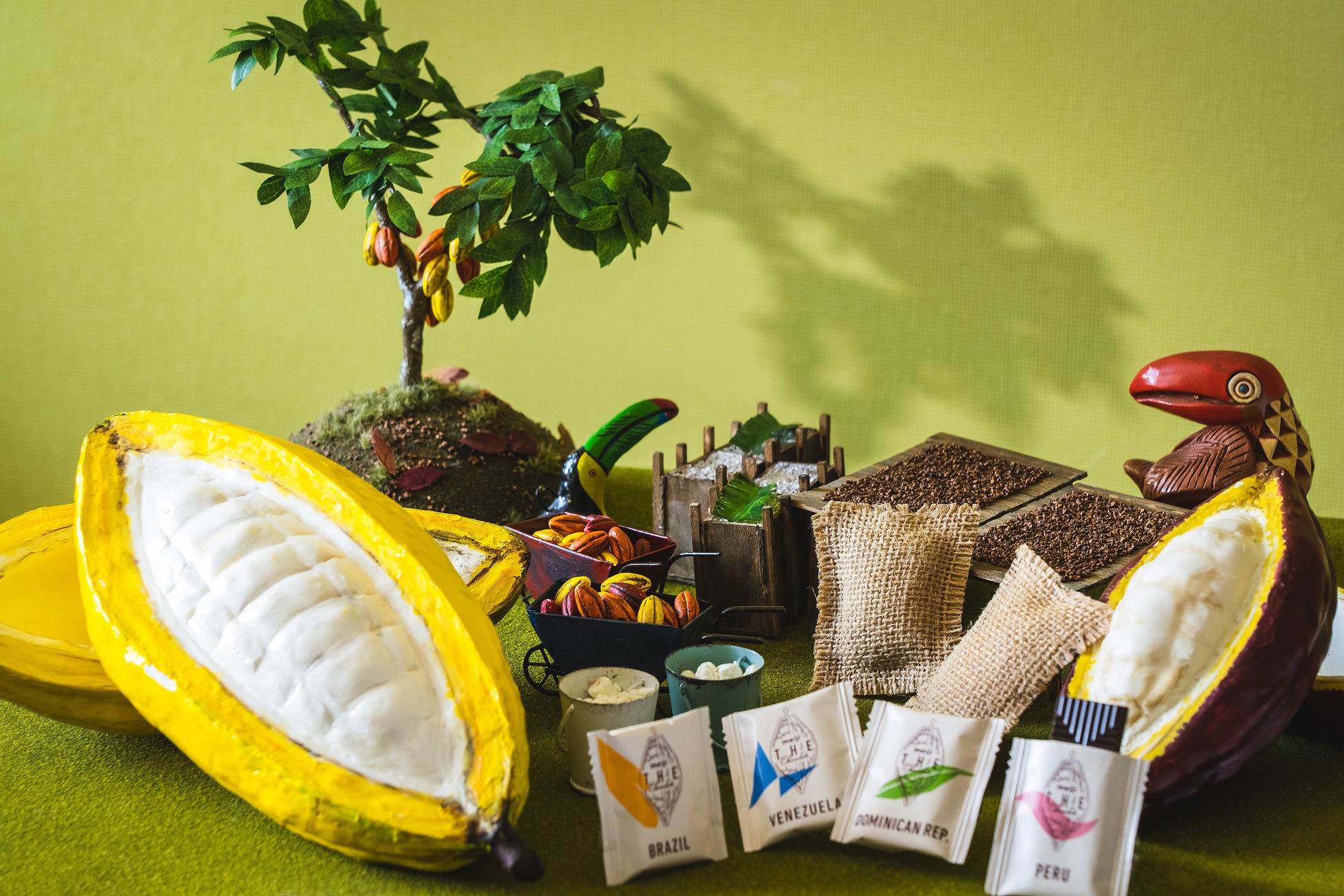 キャンバスラウンジに設置するカカオのミニチュア