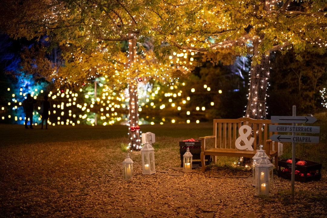 ガーデンのフォトスポットも冬仕様に