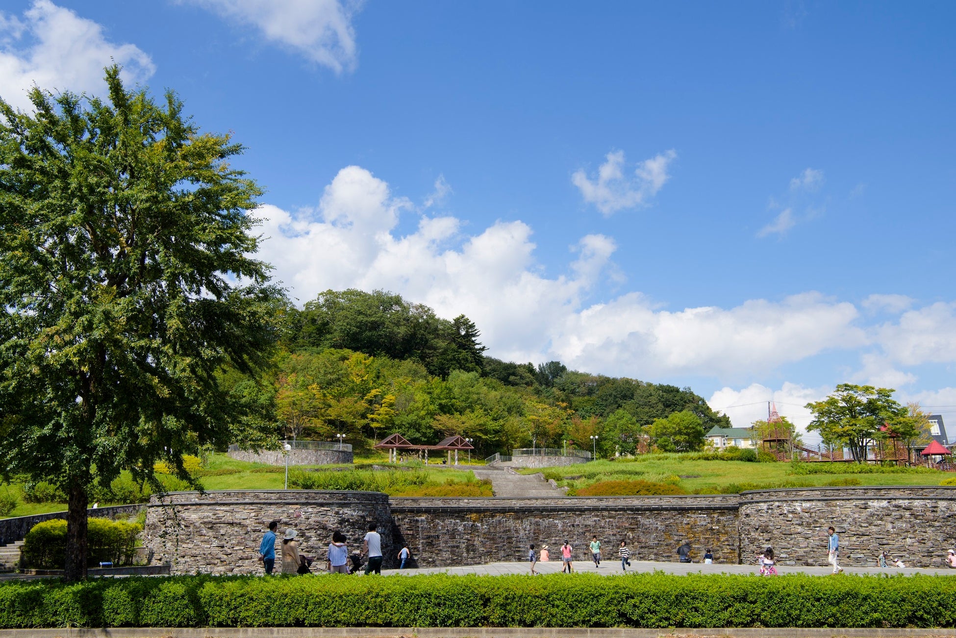 お散歩コースにもぴったりな紫山公園