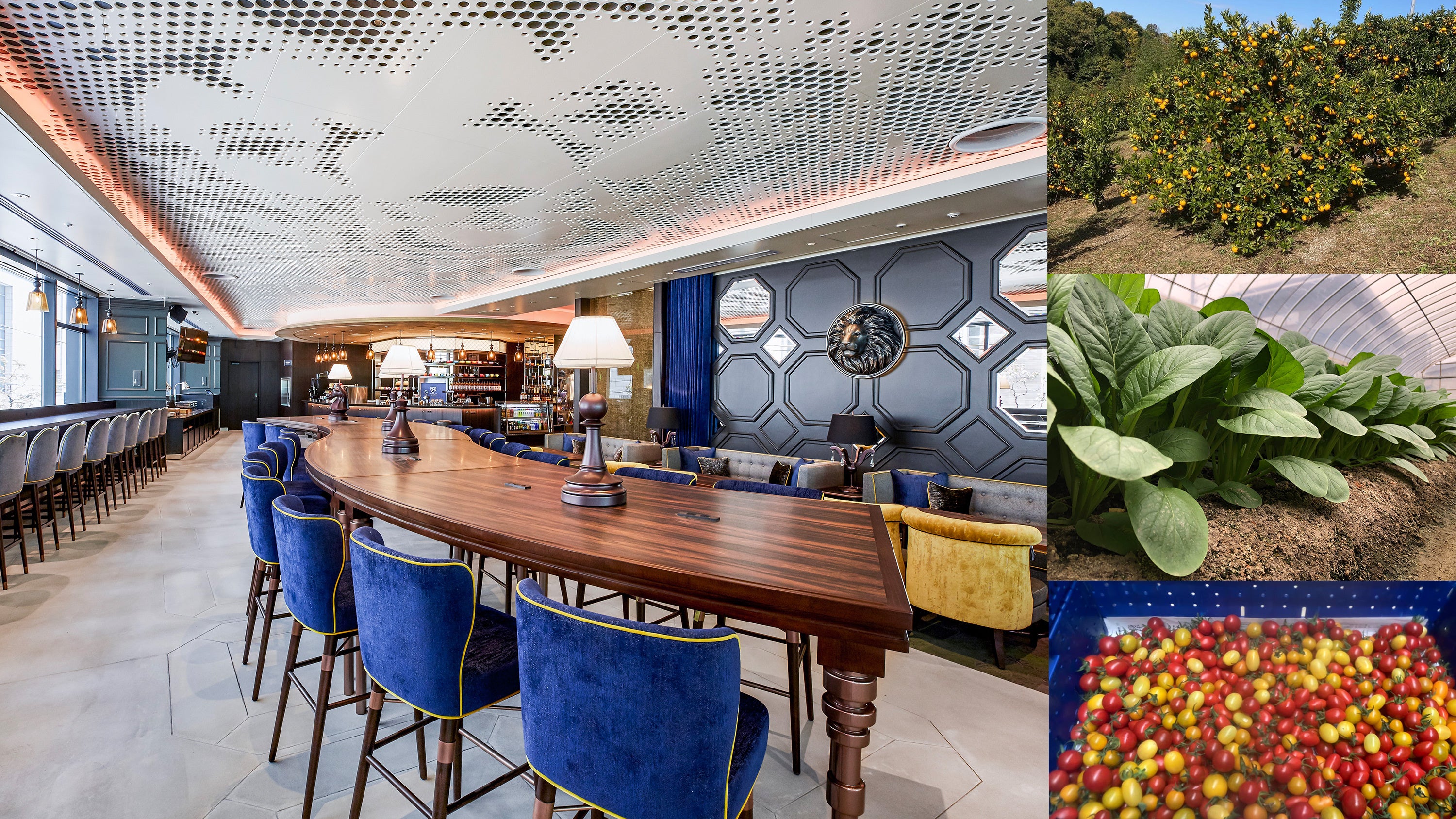 キャンバスラウンジと大阪産（もん）野菜