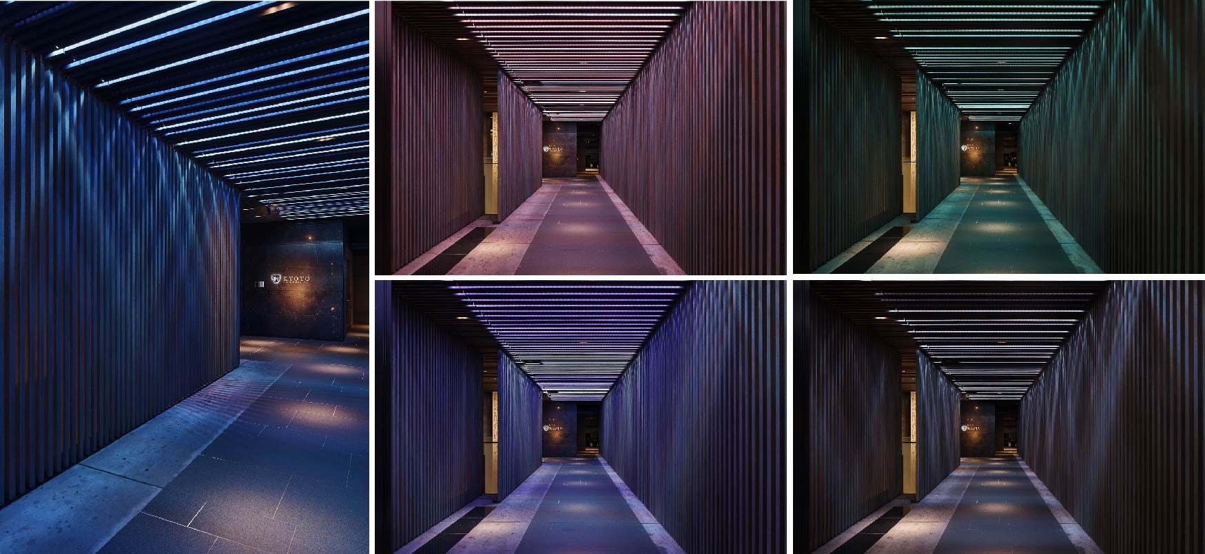 ⓒ髙橋 匡太 撮影者:村上 美都