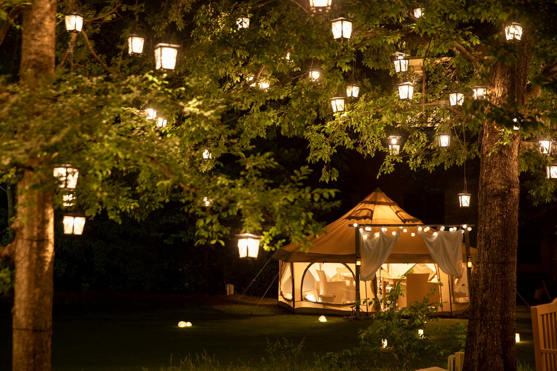 ガーデンイルミネーション(イメージ)