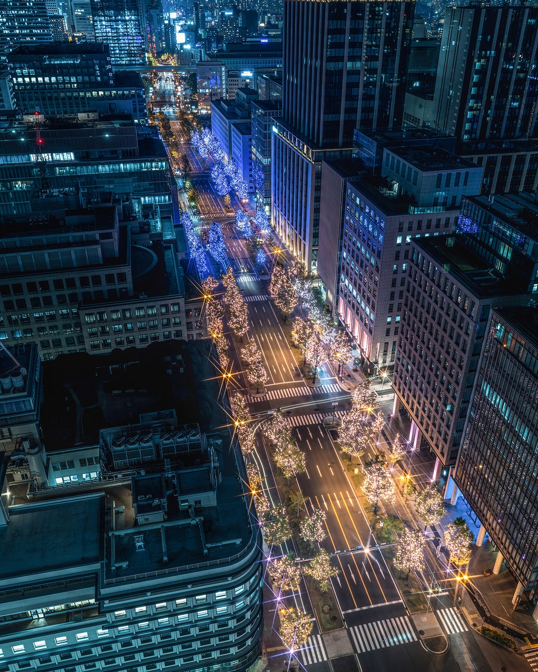 客室から見下ろすイルミネーション