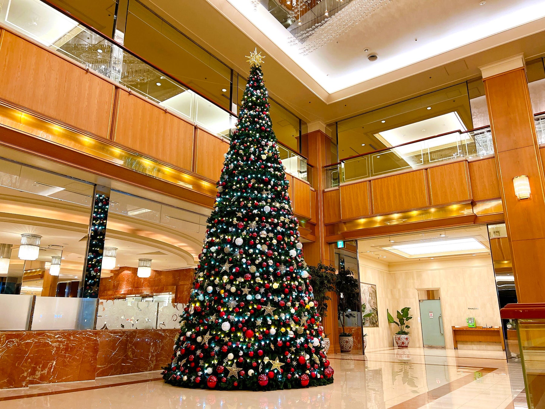 クリスマスディスプレイ2023 1Fロビー メインツリー