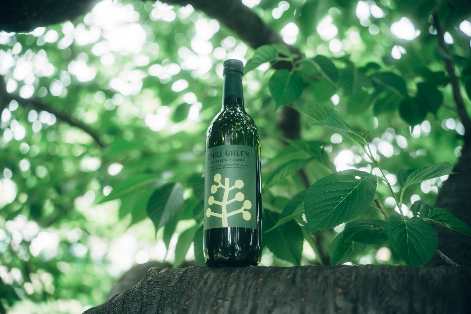 CHILL GREEN spicy&citrus